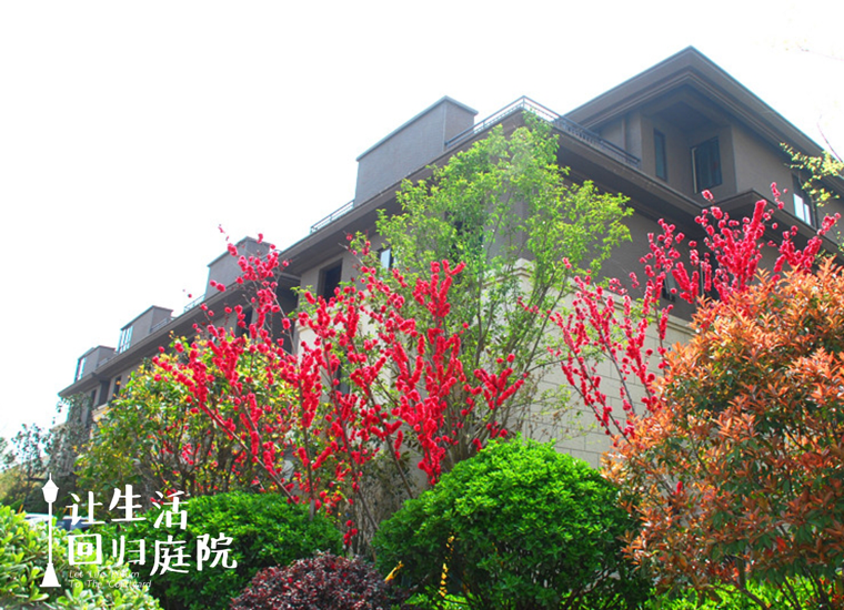 前后张望南阳50年：这样的天井，很难再有了！