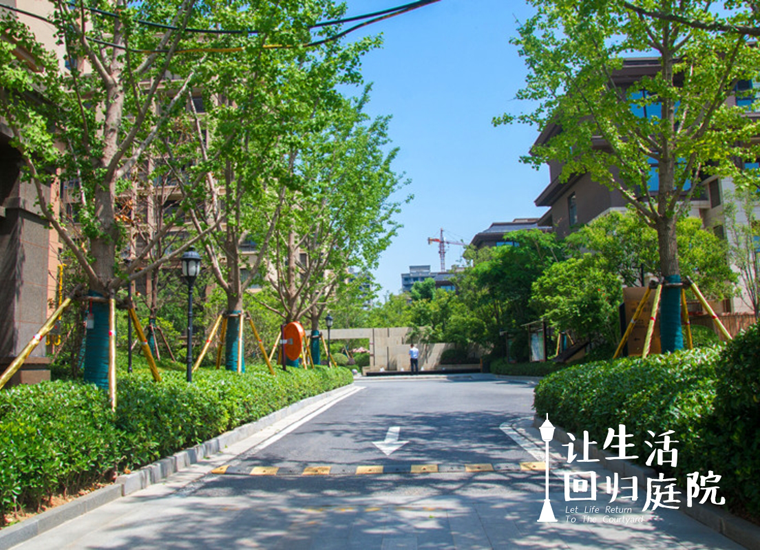 前后张望南阳50年：这样的天井，很难再有了！