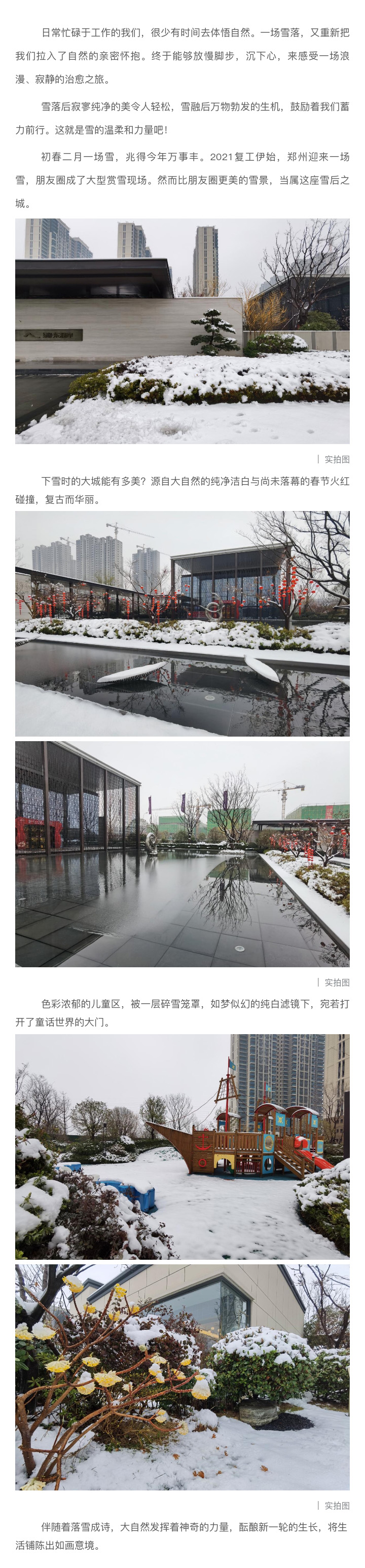 2021浪漫开年，共赏一场鹅毛大雪！