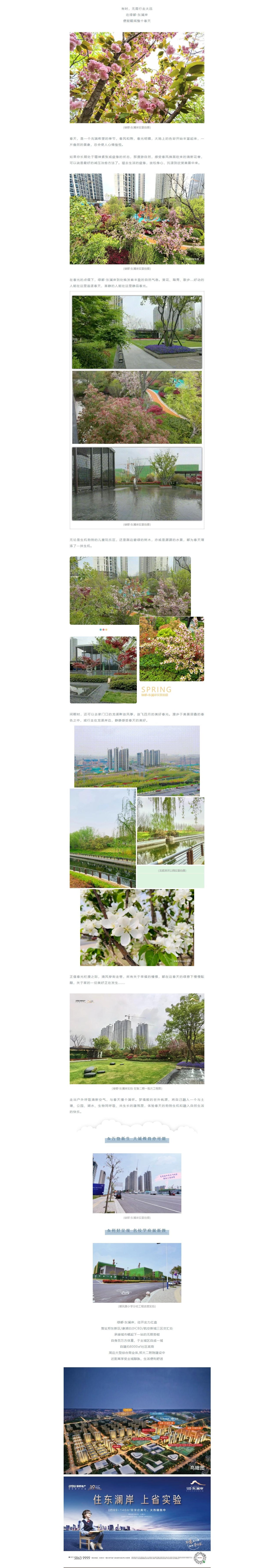 赏花踏青，来一场和春天的约会